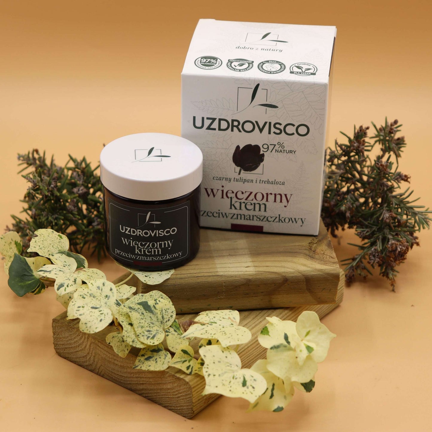 Crema de Noche Antiarrugas - Tulipán Negro